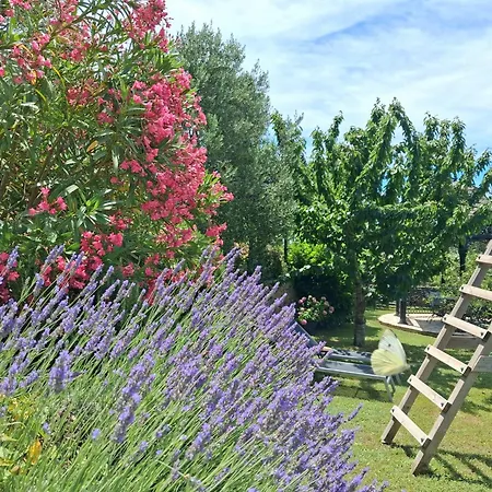 Villa Casa Belvedere Near Dubrovnik